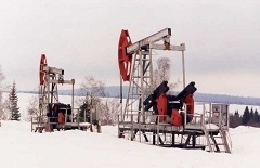 LUKOIL Wins The Bidding For Federal Subsoil Use