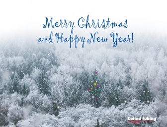 Merry Christmas and Happy New Year!